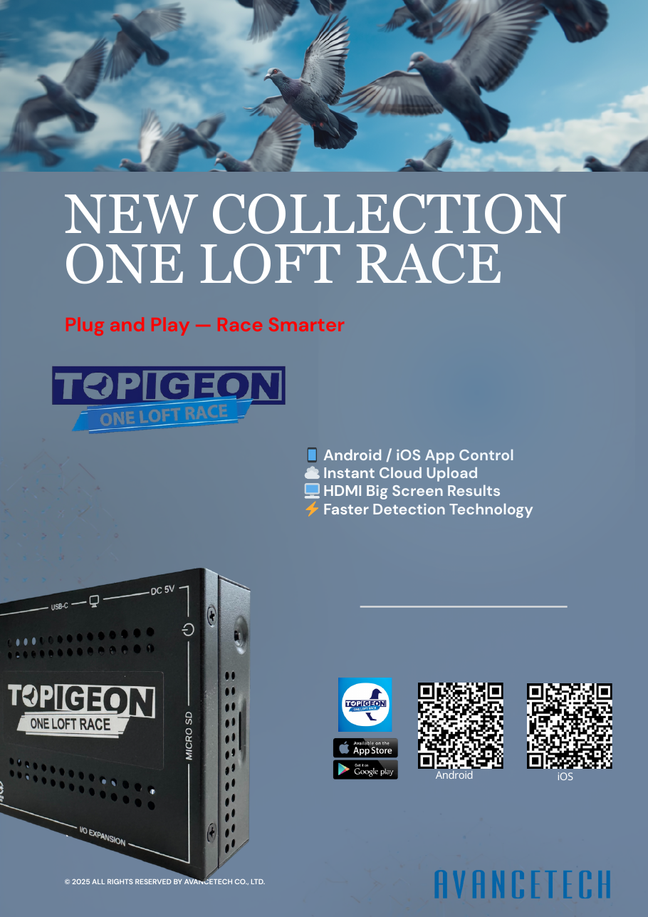 TOPigeon New Collection One Loft Race brochure