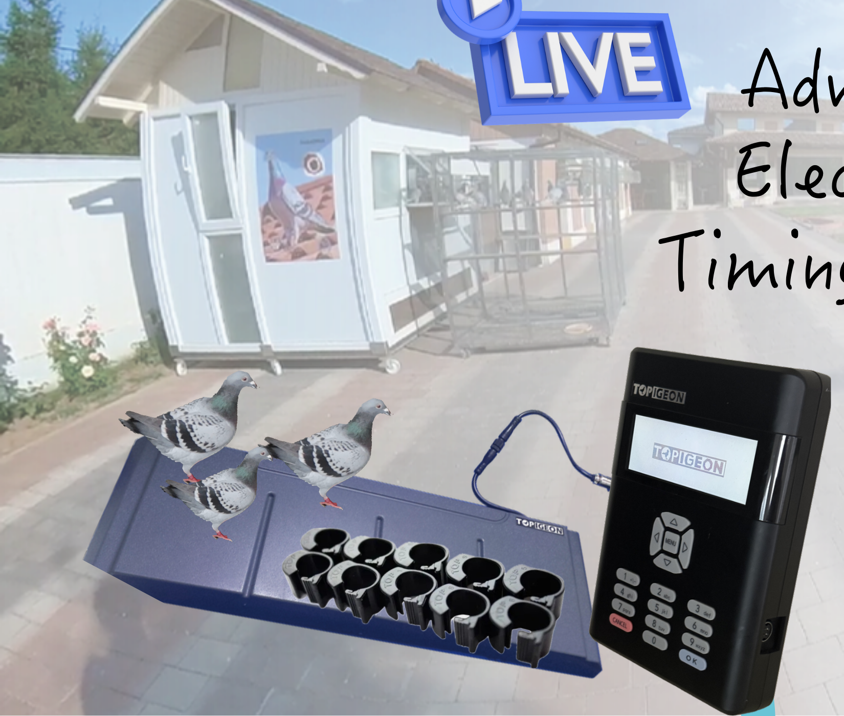 TOPigeon Individual Starter Kit - V9 clock, landing pad, and chip rings in a real pigeon loft